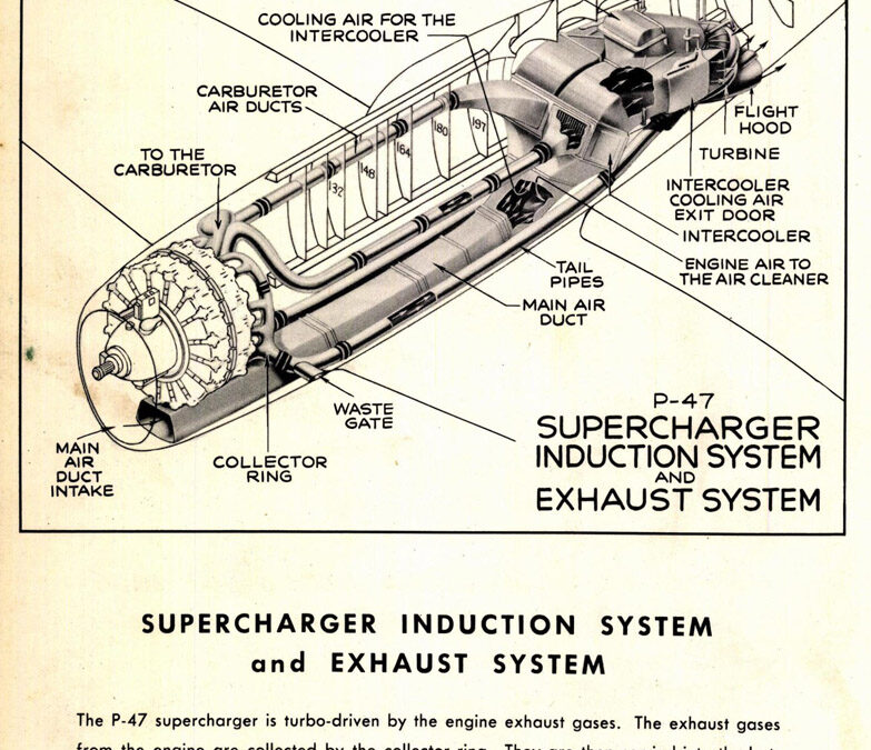 January Update on the P-47D Thunderbolt from Aircorps Aviation